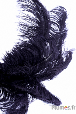 Autruche - 38-42 cm - noir